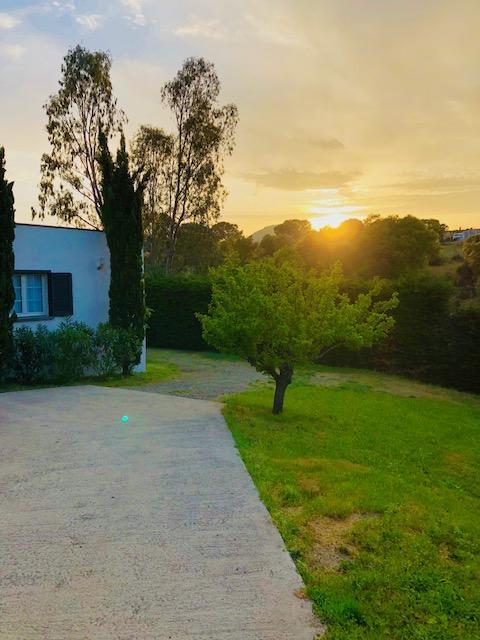 Villa Oliera Saint-Florent  Eksteriør billede