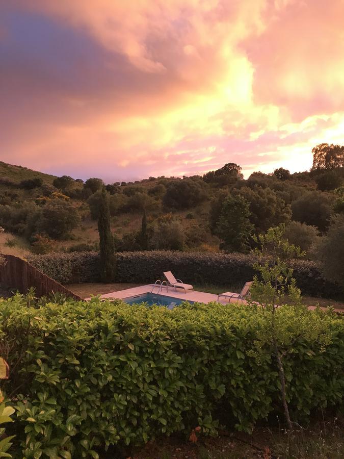 Villa Oliera Saint-Florent  Eksteriør billede